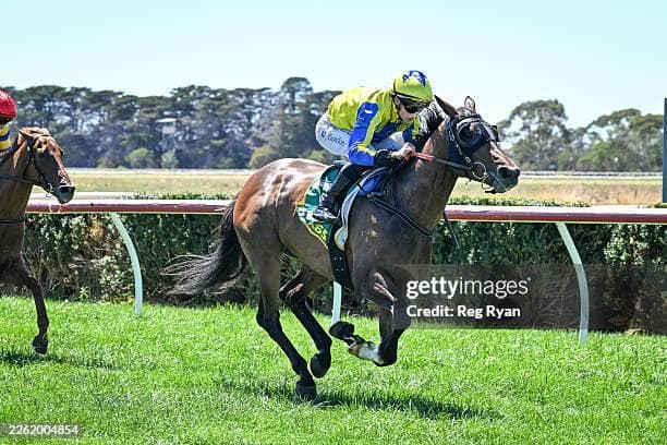 Stirling Stars at Terang