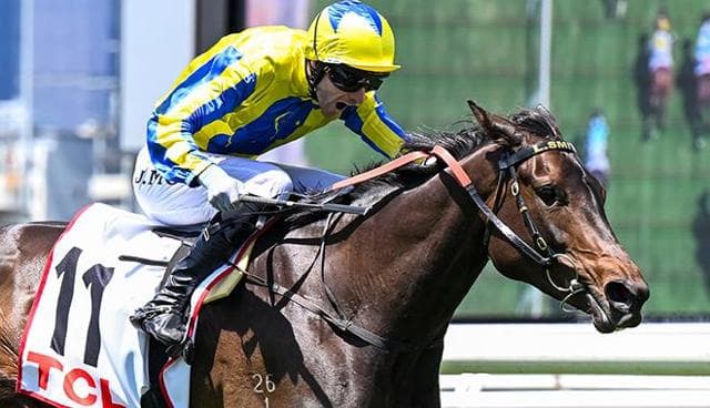 First Chorus Dominant at Flemington